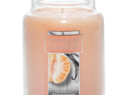 柑橘与香草香氛蜡烛